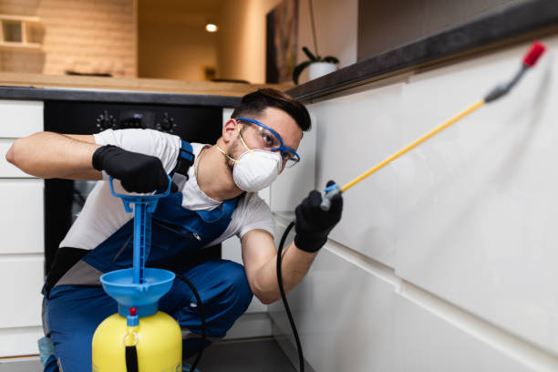 Pest Prevention Services in Springville, UT