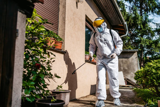 Best Pest Control Treatment  in Springville, UT
