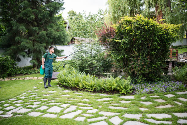 Best Bird Control  in Springville, UT