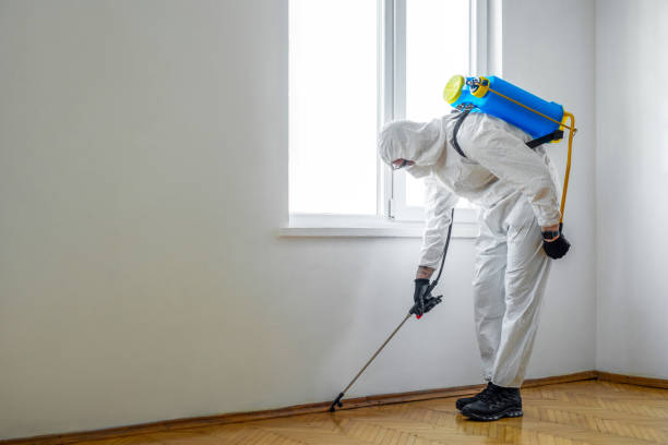 Best Exterminator Services  in Springville, UT