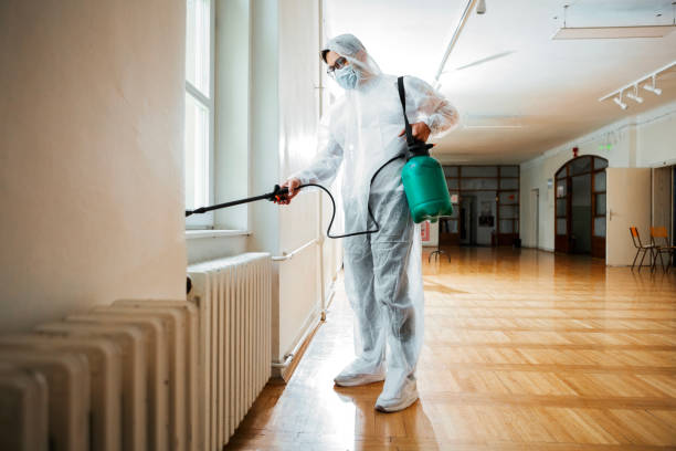 Best Affordable Pest Control Services  in Springville, UT