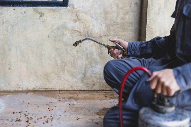 Best Exterminator Services  in Springville, UT